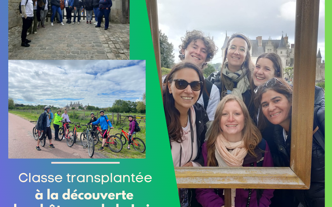 Classe transplantée à la découverte des châteaux de la Loire.